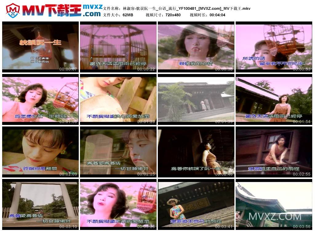 林淑容-躭误阮一生_台语_流行_YF100481